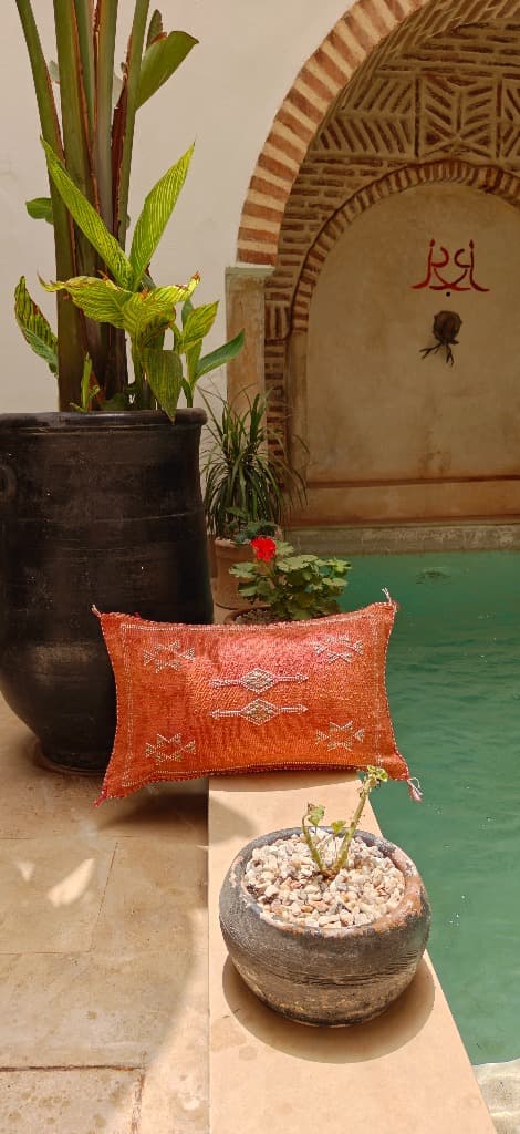 Red sabra pillow by the pool